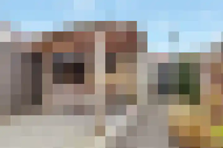 Aardbei 9 Nijkerk thumbnail 25