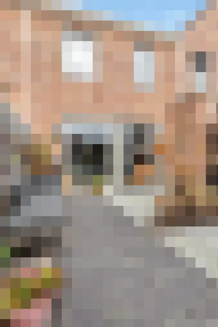 Aardbei 9 Nijkerk thumbnail 26