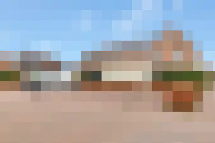 Aardbei 9 Nijkerk thumbnail 27