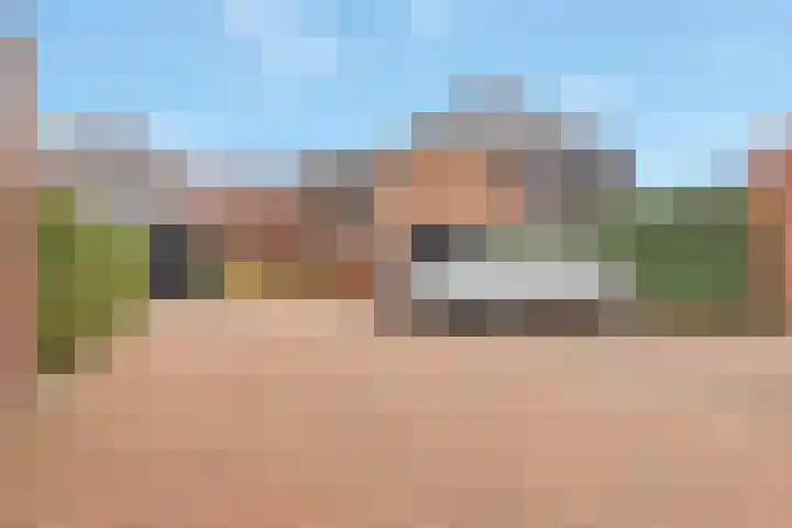 Aardbei 9 Nijkerk thumbnail 28
