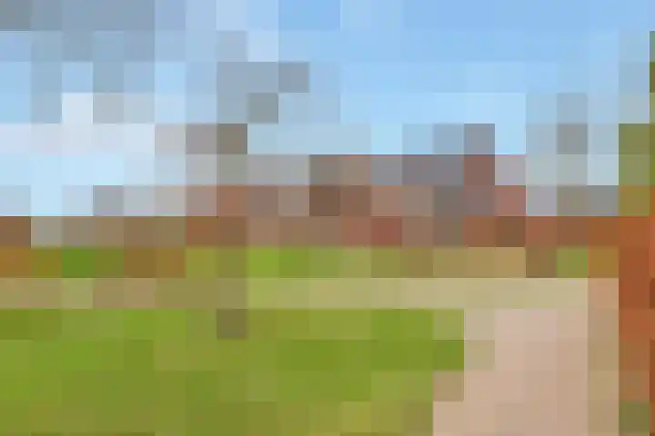 Aardbei 9 Nijkerk thumbnail 29