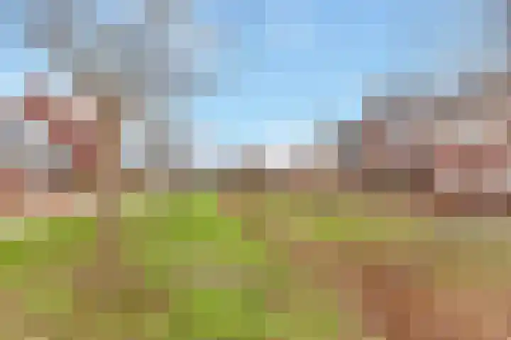 Aardbei 9 Nijkerk thumbnail 30