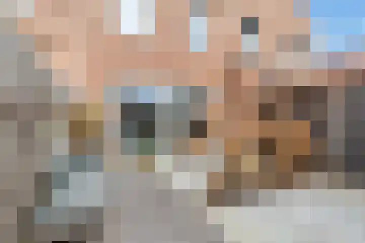 Aardbei 9 Nijkerk thumbnail 4