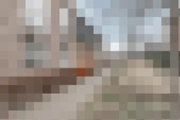 Aardbei 9 Nijkerk thumbnail 5