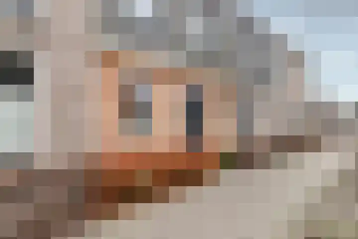 Aardbei 9 Nijkerk thumbnail 6
