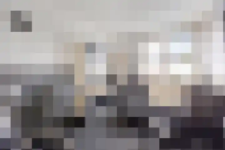 Aardbeiengaard 10 Spijkenisse thumbnail 17
