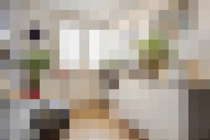 Aardbeiengaard 10 Spijkenisse thumbnail 19