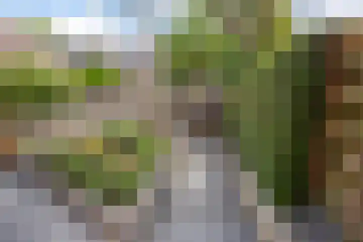 Aardbeiengaard 2 Wijk bij Duurstede thumbnail 20