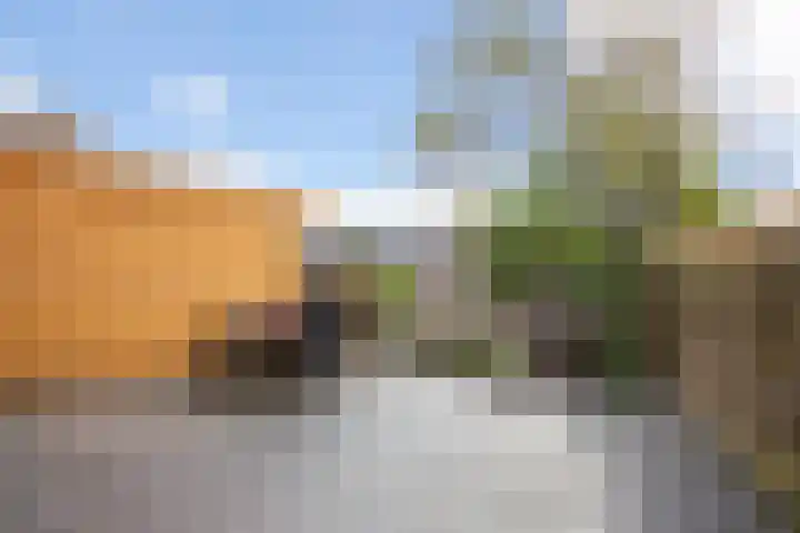 Aardbeiengaard 2 Wijk bij Duurstede thumbnail 21