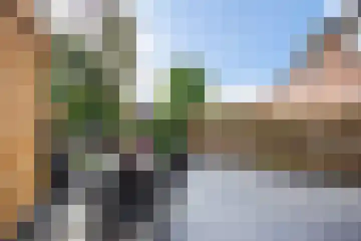 Aardbeiengaard 2 Wijk bij Duurstede thumbnail 22