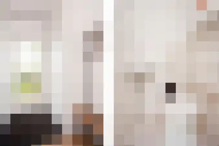 Aardbeiengaard 2 Wijk bij Duurstede thumbnail 24