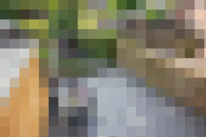 Aardbeiengaard 2 Wijk bij Duurstede thumbnail 26