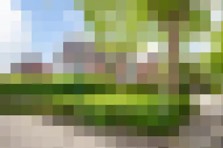 Aardbeiengaard 2 Wijk bij Duurstede foto 3