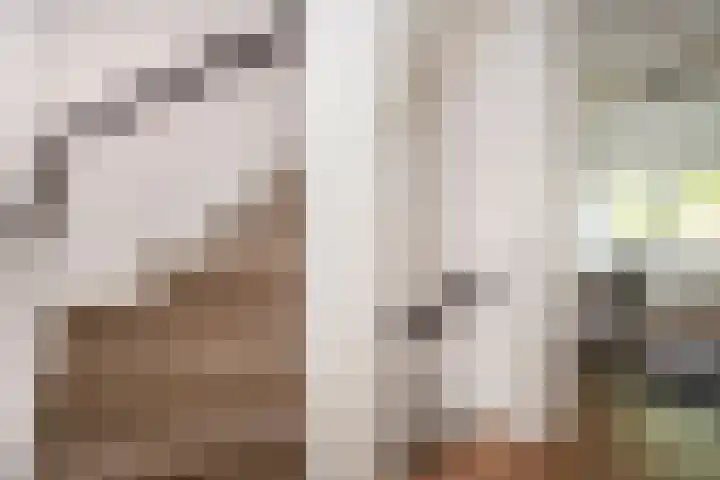 Aardbeiengaard 2 Wijk bij Duurstede thumbnail 34