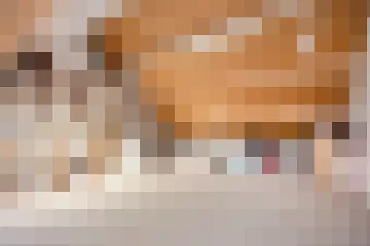 Aardbeiengaard 2 Wijk bij Duurstede thumbnail 37