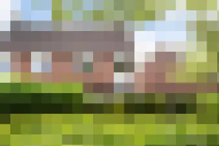 Aardbeiengaard 2 Wijk bij Duurstede thumbnail 38