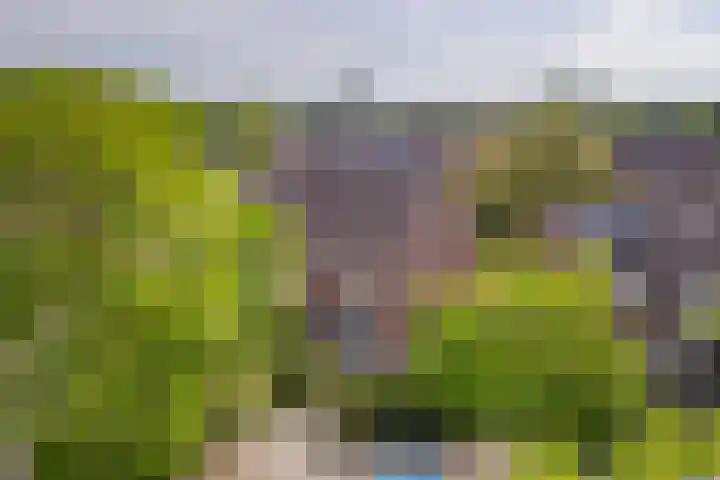 Aardbeiengaard 2 Wijk bij Duurstede thumbnail 39