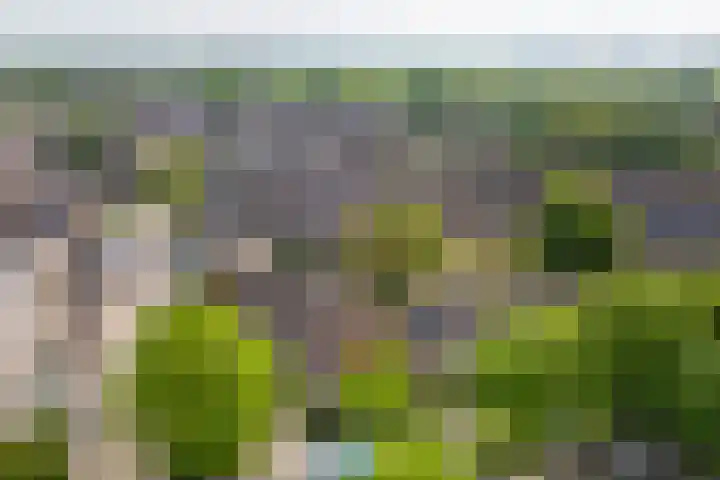 Aardbeiengaard 2 Wijk bij Duurstede thumbnail 40