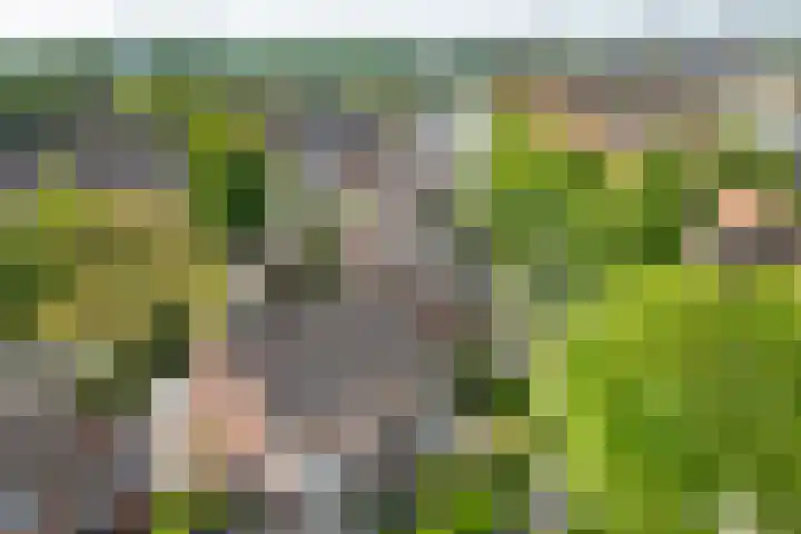 Aardbeiengaard 2 Wijk bij Duurstede thumbnail 41