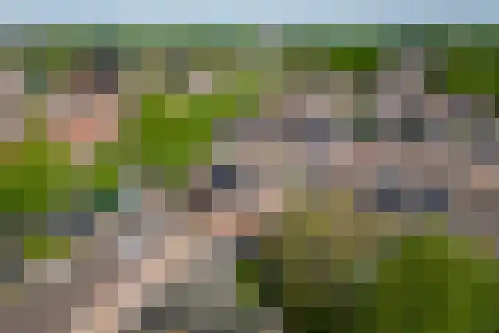 Aardbeiengaard 2 Wijk bij Duurstede thumbnail 42