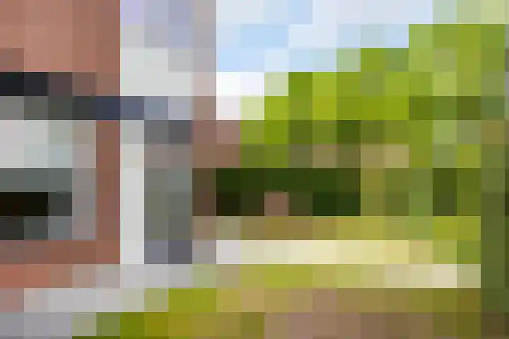 Aardbeiengaard 2 Wijk bij Duurstede thumbnail 5
