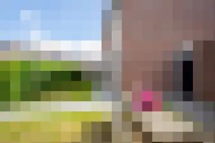 Aardbeiengaard 2 Wijk bij Duurstede thumbnail 6