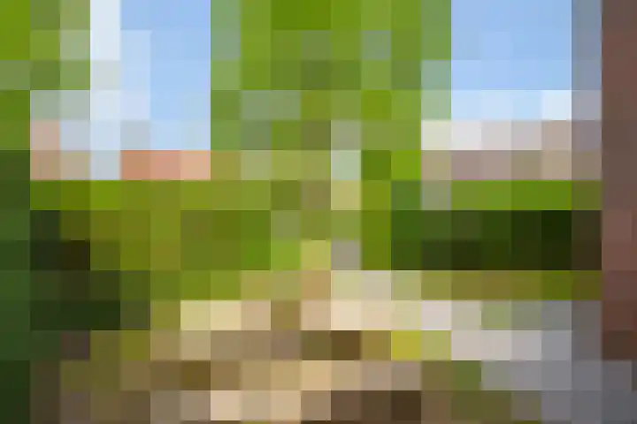 Aardbeiengaard 2 Wijk bij Duurstede thumbnail 7