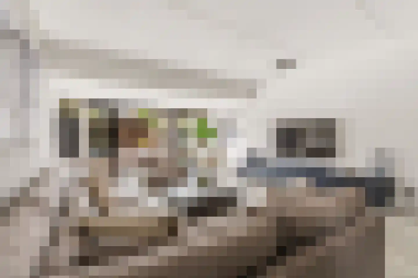 Aardbeienstraat 13 Almere thumbnail 13