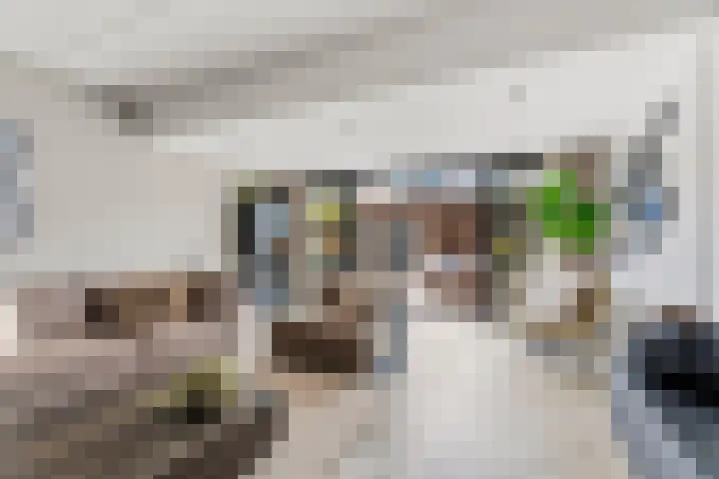 Aardbeienstraat 13 Almere thumbnail 14