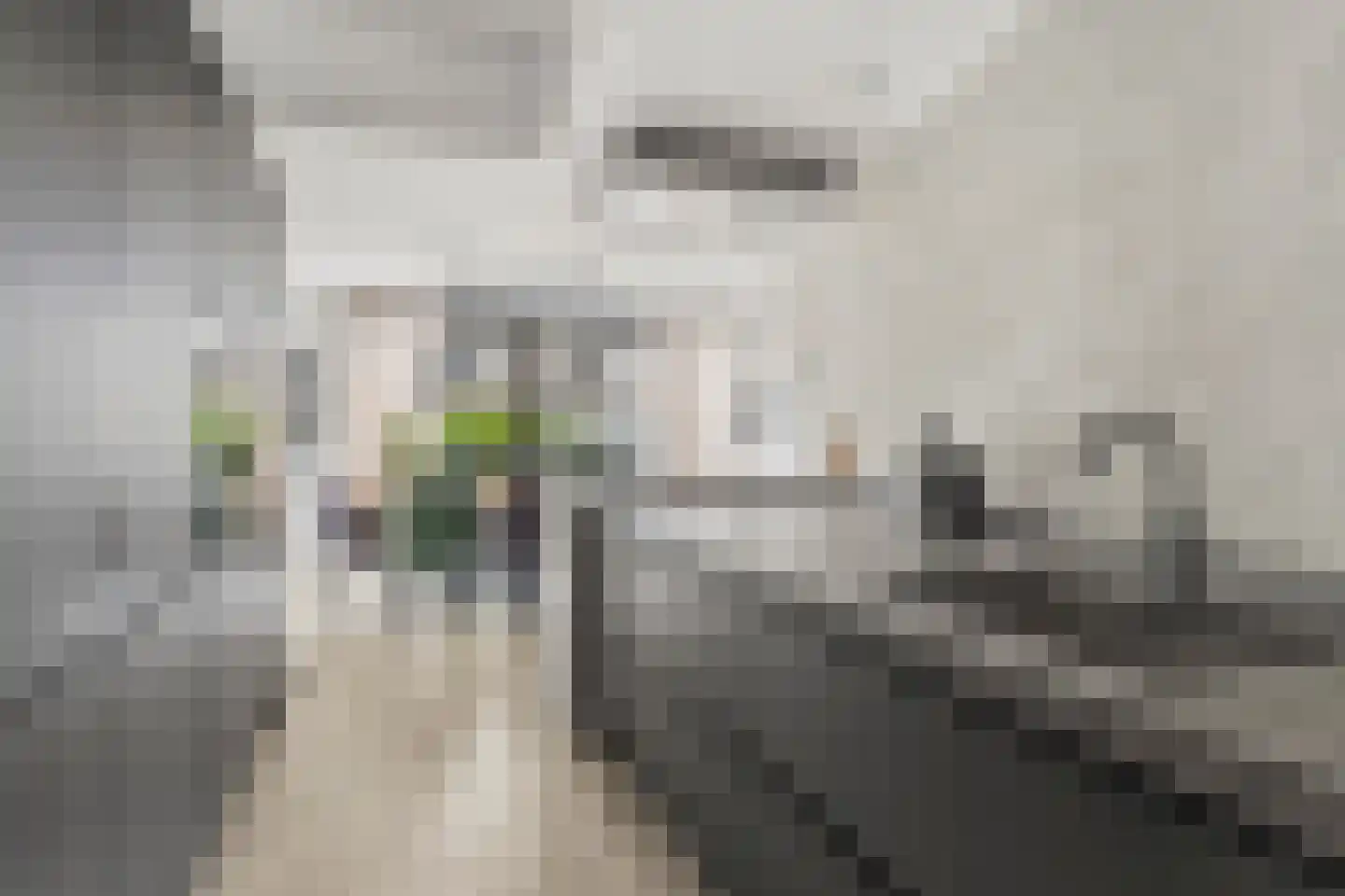 Aardbeienstraat 13 Almere thumbnail 4