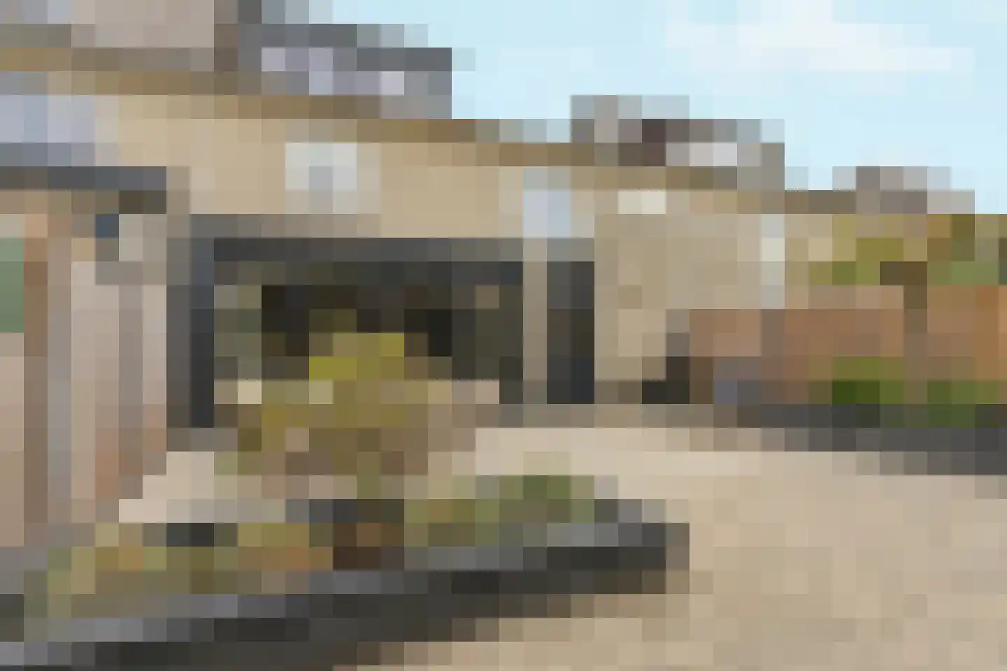 Aardbeienstraat 13 Almere thumbnail 49