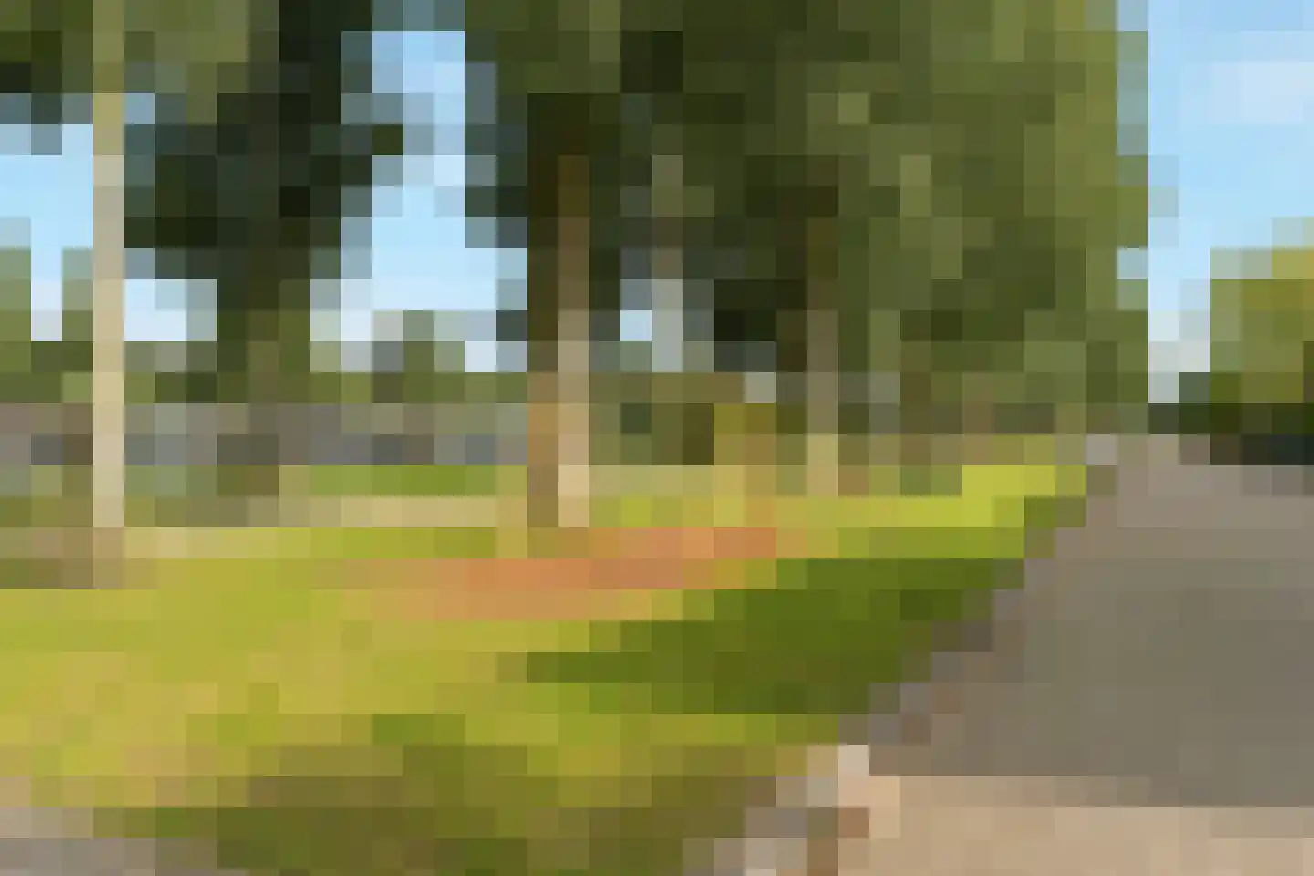 Aardbeienstraat 13 Almere thumbnail 53