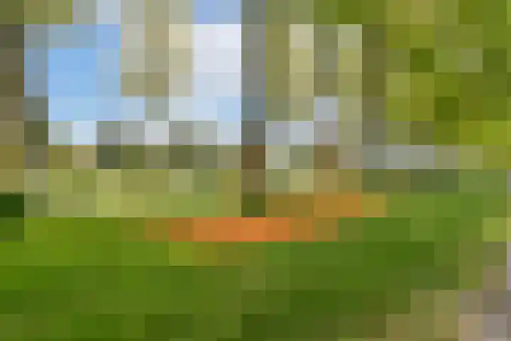 Aardbeienstraat 3 Almere thumbnail 28