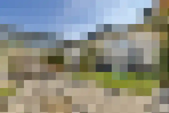 Aardbeienstraat 3 Almere thumbnail 9