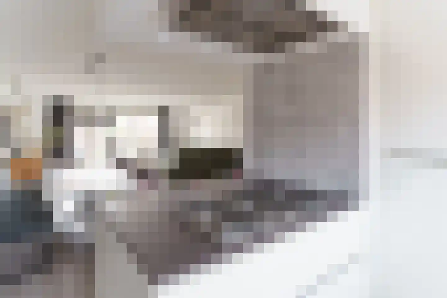 Aardbeienstraat 8 Wateringen thumbnail 12