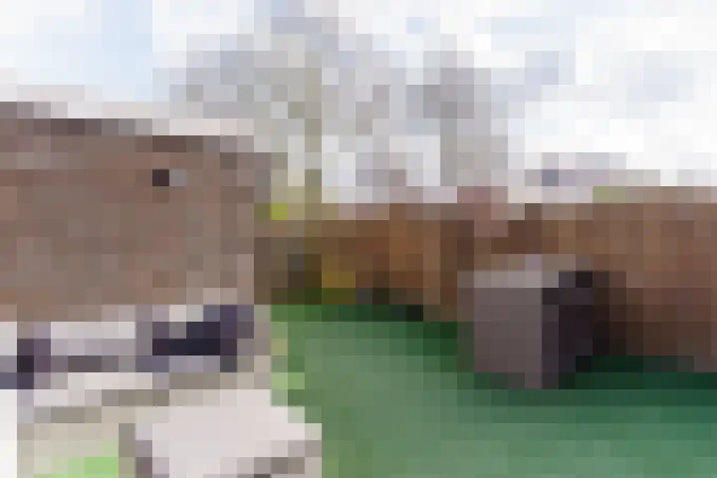 Aardbeienstraat 8 Wateringen thumbnail 7