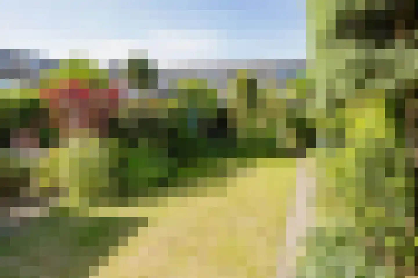 Aardbeienvlak 3 IJmuiden thumbnail 14
