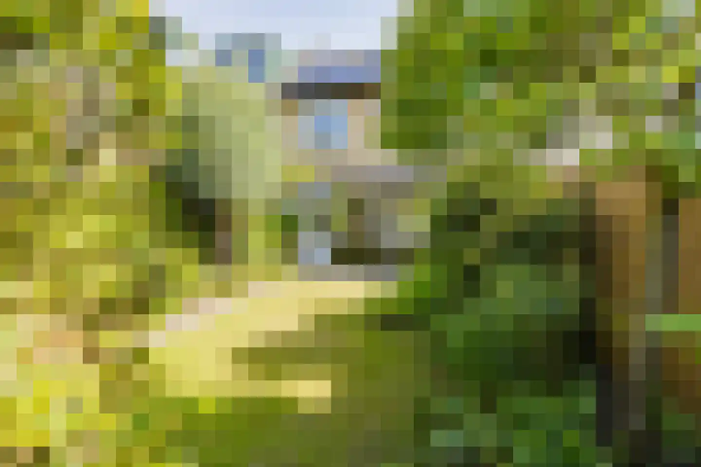 Aardbeienvlak 3 IJmuiden thumbnail 16