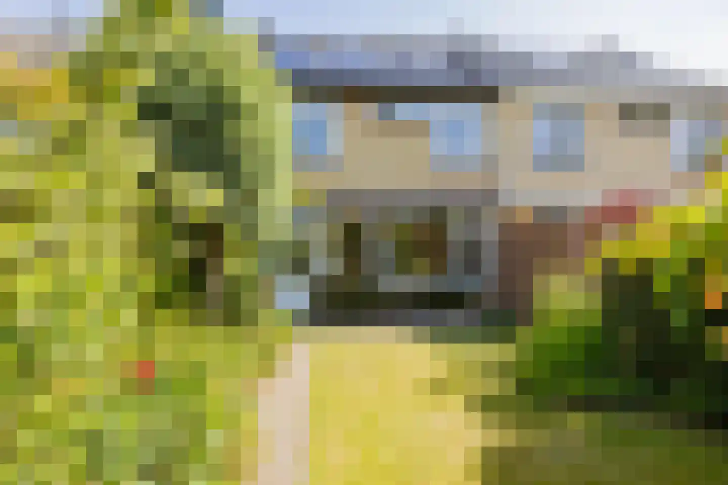 Aardbeienvlak 3 IJmuiden thumbnail 17