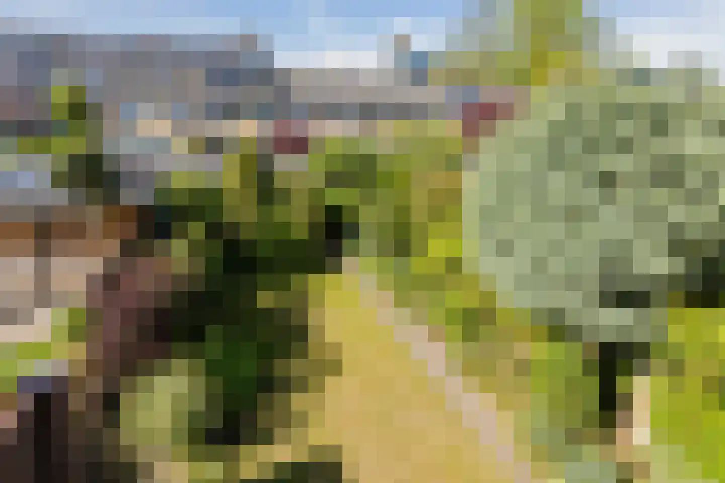 Aardbeienvlak 3 IJmuiden thumbnail 28