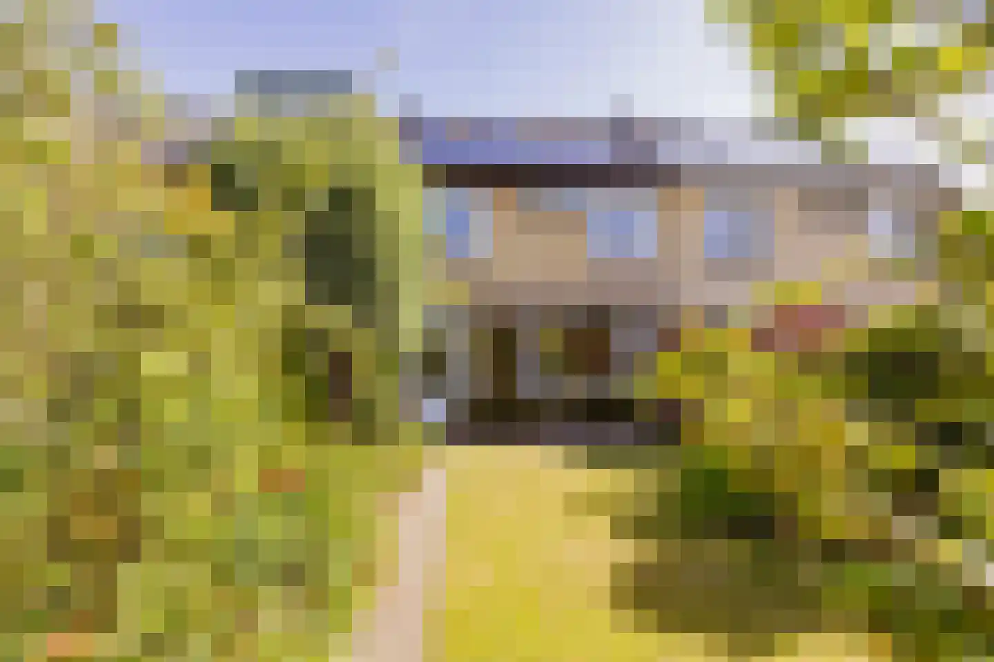Aardbeienvlak 3 IJmuiden thumbnail 4