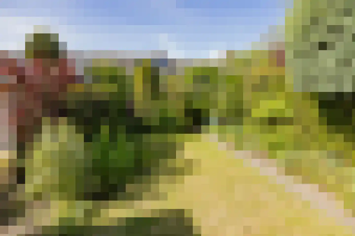 Aardbeienvlak 3 IJmuiden thumbnail 5