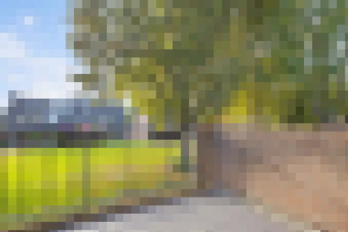 Aardbeigaarde 25 Nieuwegein thumbnail 17