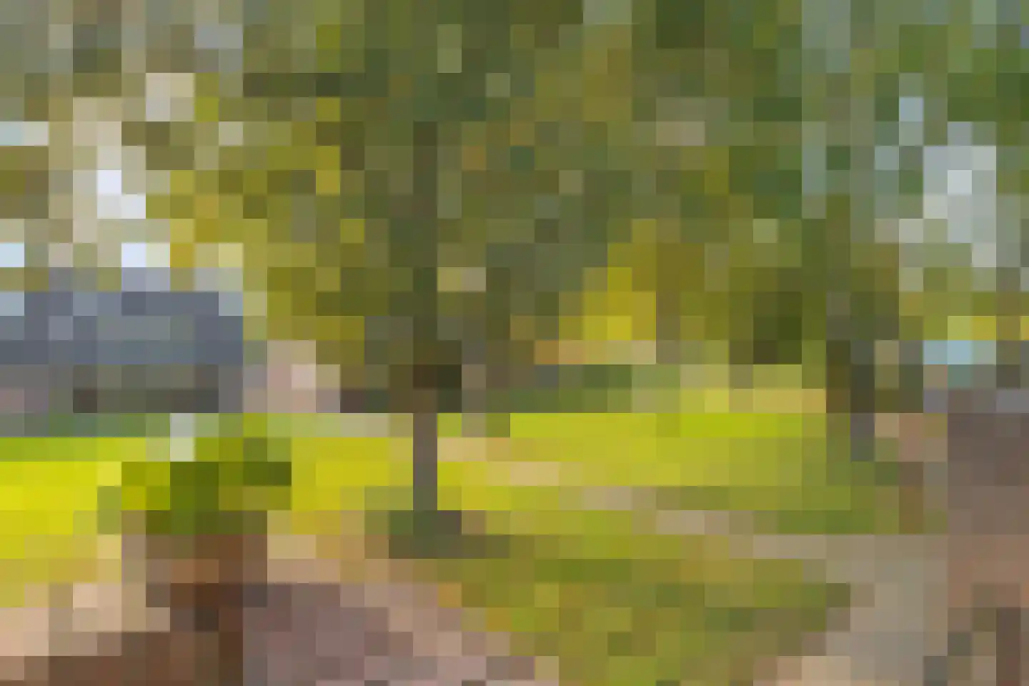 Aardbeigaarde 25 Nieuwegein thumbnail 19