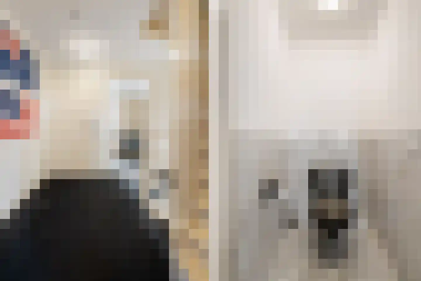 Aardbeigaarde 25 Nieuwegein thumbnail 31