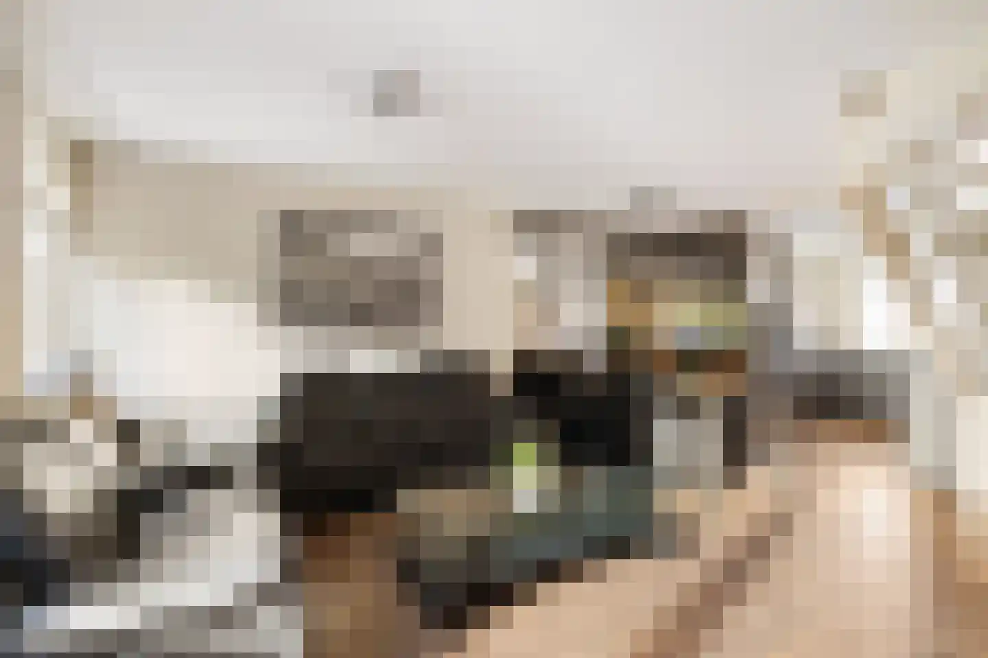 Aardbeigaarde 25 Nieuwegein thumbnail 8