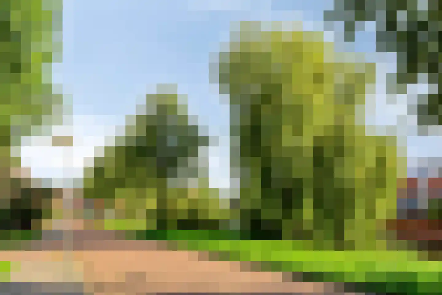 Aardbeihof 1 Assen thumbnail 38