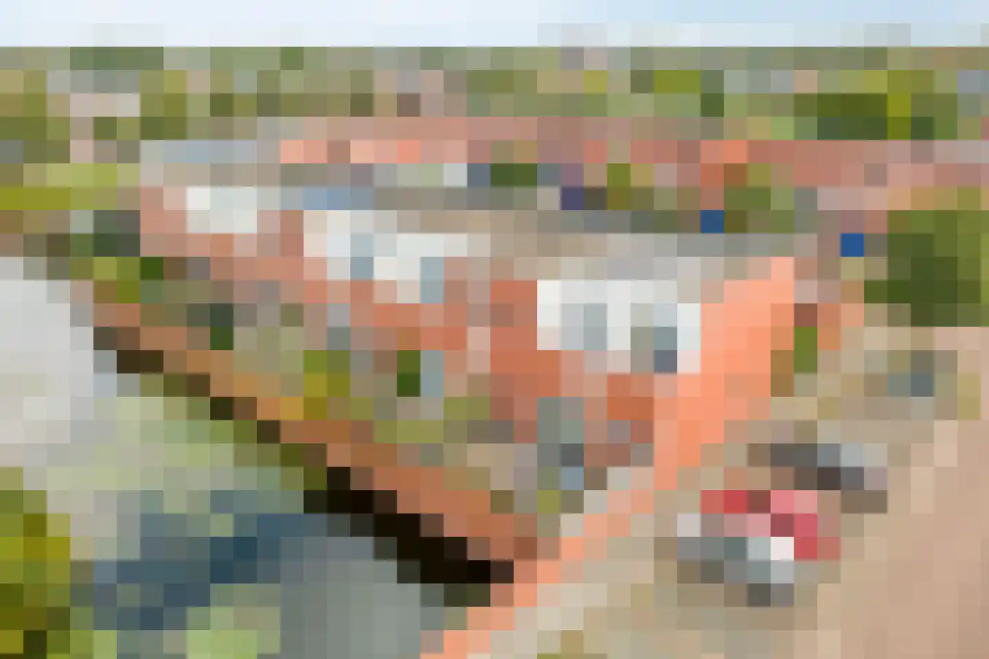 Aardbeihof 1 Assen thumbnail 39
