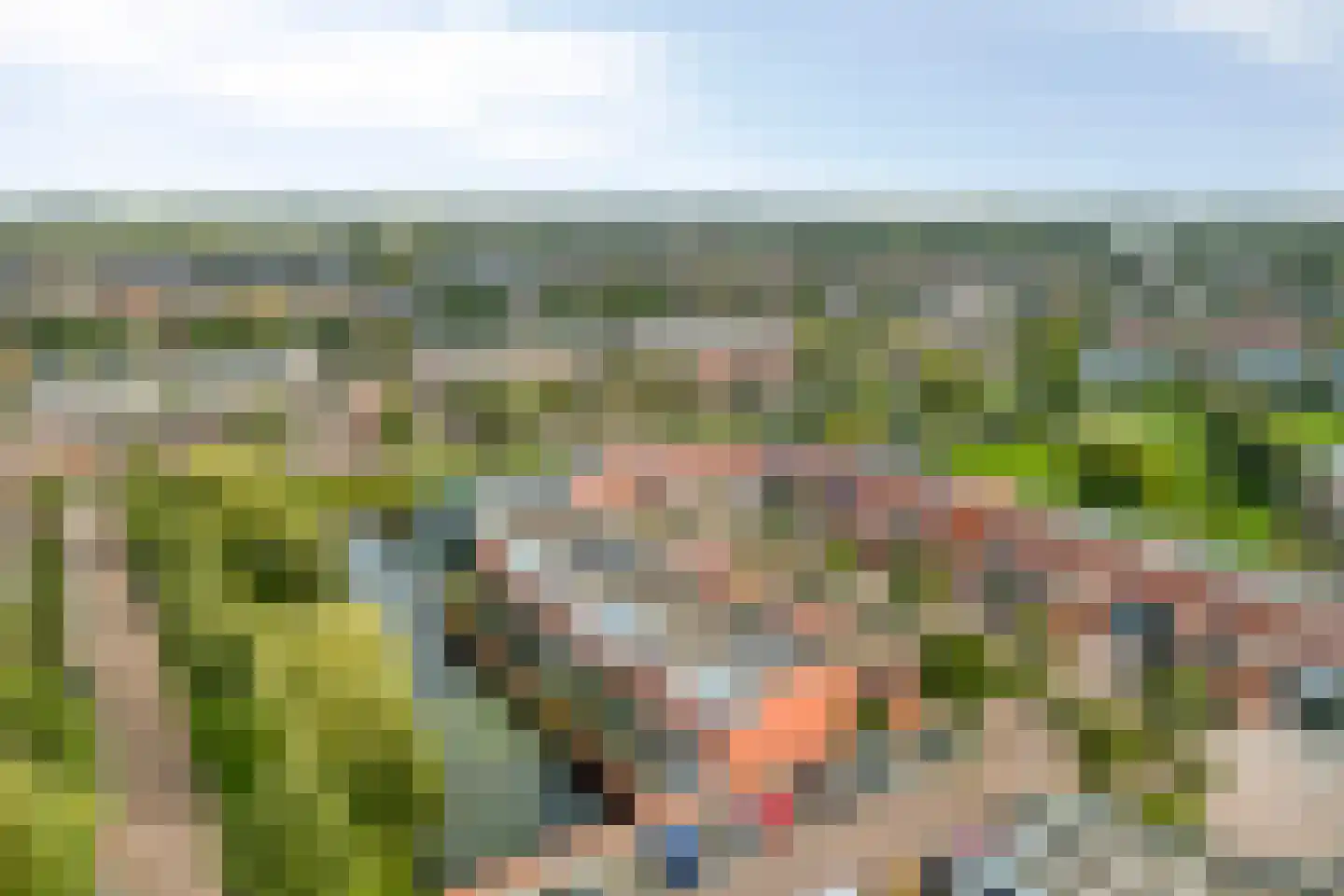 Aardbeihof 1 Assen thumbnail 40