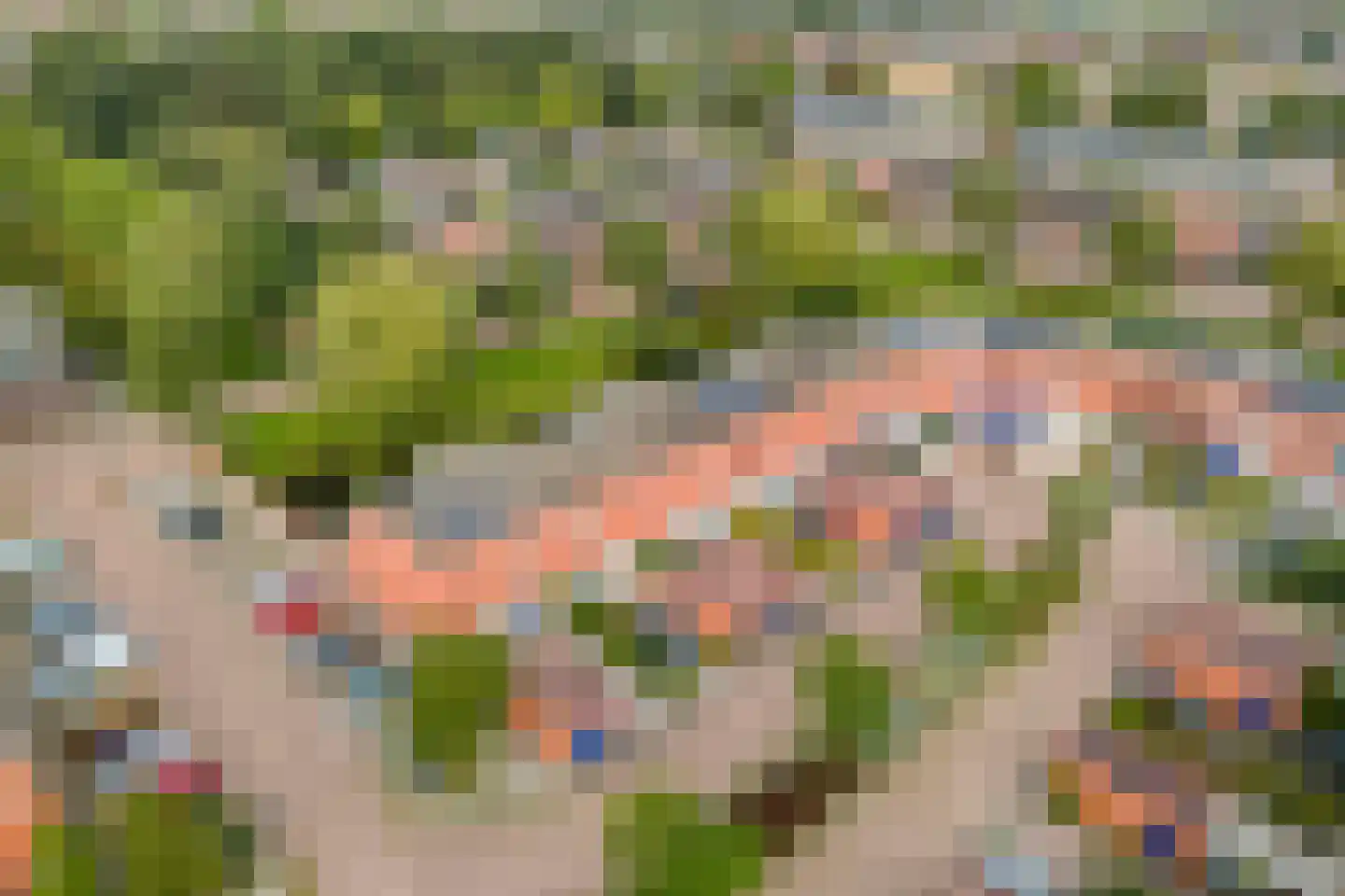 Aardbeihof 1 Assen thumbnail 42